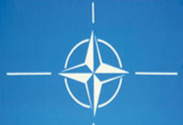 НАТО установило для Грузии высокую планку - вице-премьер